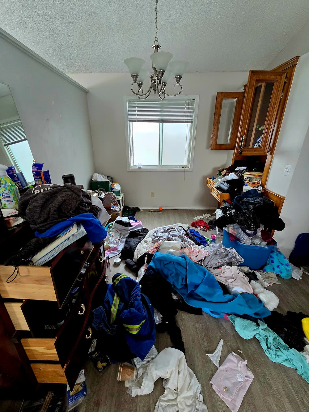 Before hoarder cleanout - living area before cleanup