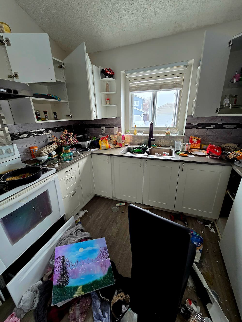 Before hoarder cleanout - kitchen before cleanup